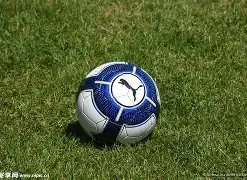 火币生态链,钱包发行币,种操作手册,芒果体育平台,芒果体育官方网站,芒果体育登录入口,芒果体育app下载