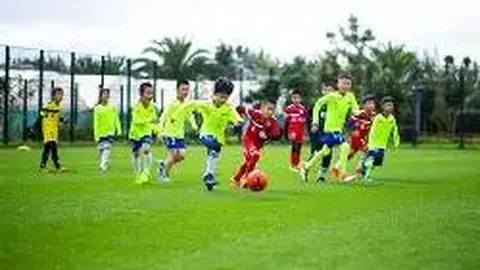 芒果体育 产品 083145 g54