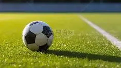 芒果体育 资讯 083241 jj0