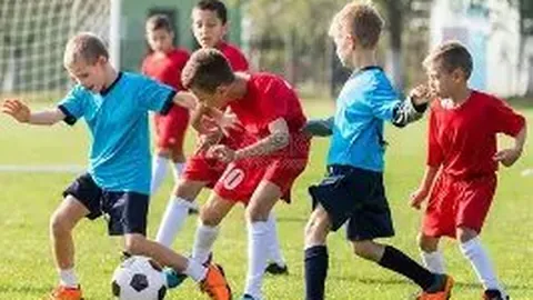 芒果体育 产品 083308 brc