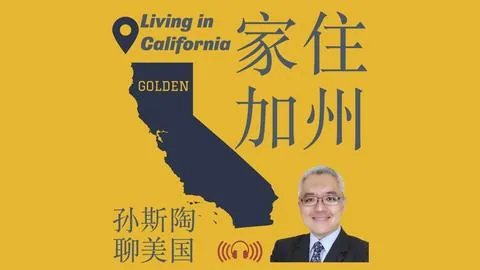 城市公共交通新条例实施，出行福利大盘点